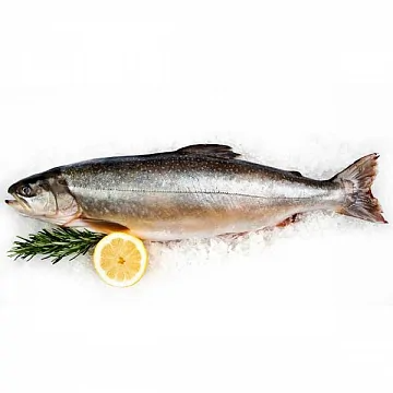 Фото Голец свежемороженый блочной заморозки вылов 2025г 