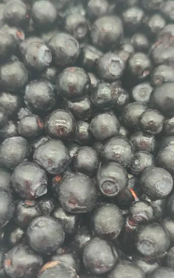 Фото Черника свежемороженая (мешок 30кг)