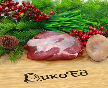 Фото лопатка муфлона