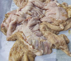 Желудок коня очищенный (резанный)