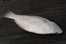 Морской язык дикий замороженный не потрошенный