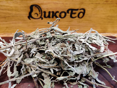 Превью Шалфей лекарственный сушеный