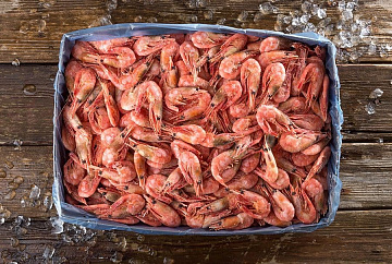 Фото Креветка северная в/м 50-70 (коробка 5кг)