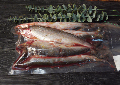 Превью Ряпушка свежемороженая  не потрошёная