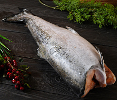 Чавыча штучной заморозки потрошеная без головы 3-5 кг
