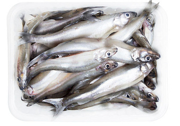 Фото Корюшка балтийская (Питерская) 10-15 см свежемороженая 