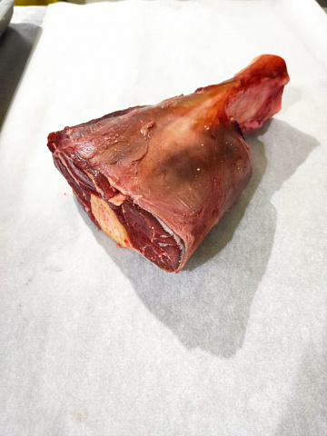 Фото Голяшка лося на кости