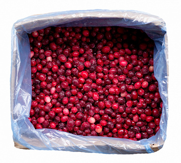 Фото Клюква дикая замороженная (в коробках по 15 кг)