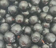 Черника свежемороженая (мешок 30кг)