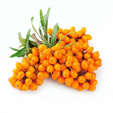 Фото Облепиха очищенная замороженная 250 г